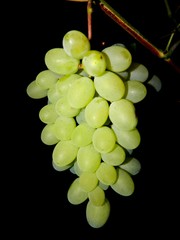 сад и огород