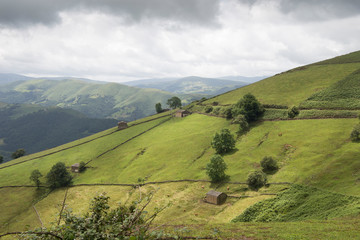 Obraz premium Cantabria landscape wiht green field.