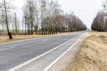 Bicycle path on asphalt road 