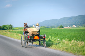 Amish  Farming