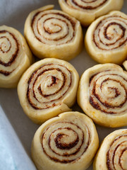 raw cinnamon rolls