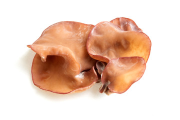 ear mushroom  isolated on white background