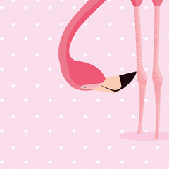 elegant flamingo bird dotted background
