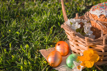 Easter basket with easter colored eggs and dessert (Paskha), Easter cakes with icing sugar on grass background.