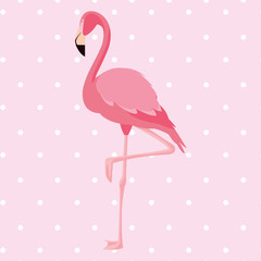 elegant flamingo bird dotted background