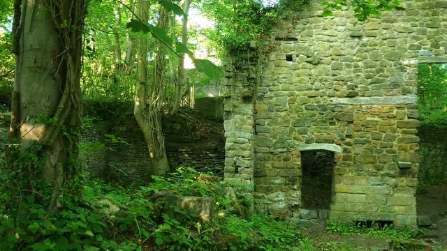 Stone ruins of the early 17th century paint mill in a lush green forest. Lumsdale, Derbyshire, England.