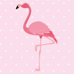elegant flamingo bird dotted background
