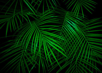 Obraz premium Palm leaves lit with vivid ufo green light