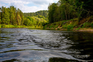 Fototapeta na wymiar Landscape of river and green forest.