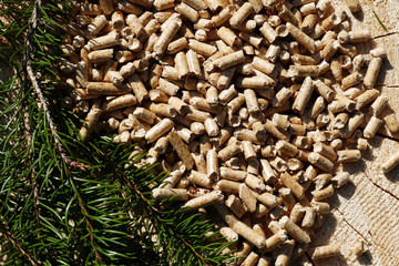 regenerative Energie, Holzpellets