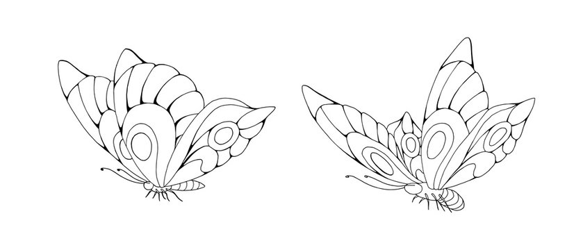 Zentangle stylized cartoon two butterflies isolated on white background
