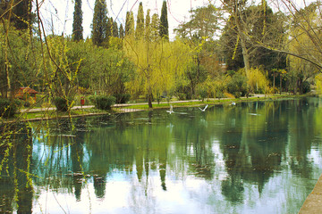 Fototapeta na wymiar View of the park in spring, New Athos, Abkhazia