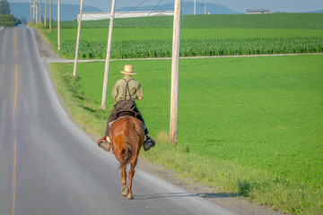 Amish Horseback