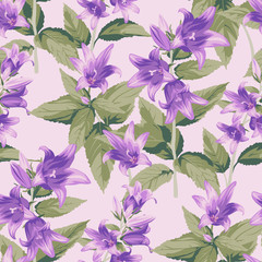Seamless pattern with purple Campanula - flowers, isolated on light background. Hand-drawn illustrations.