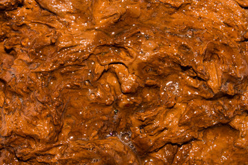 The texture of shit.Background of excrement.Human shit.