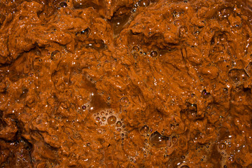 Texture of shit.Background of excrement.