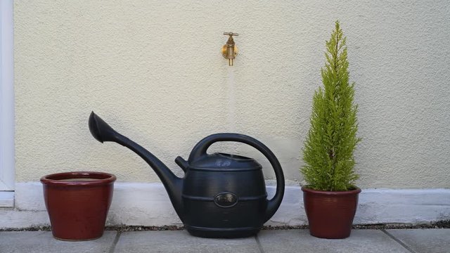 Filling a watering can with water from an outside tap