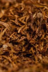 tobacco texture high qualitydry cut tobacco big chopped leaf macro close up