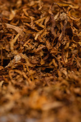 tobacco texture high qualitydry cut tobacco big chopped leaf macro close up