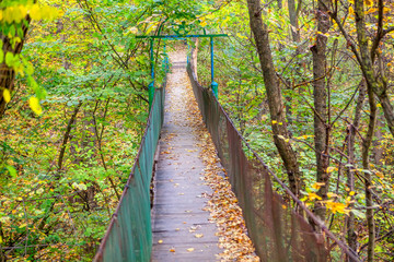 autumn scenery with hanging wooden bridge 