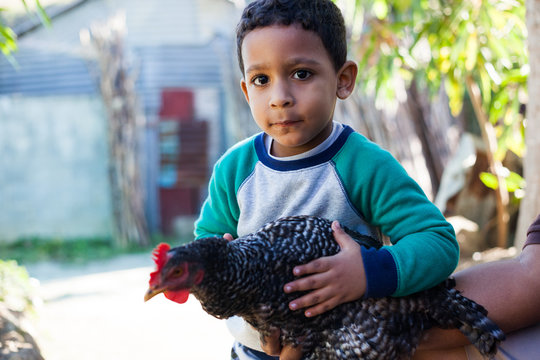 ni&ntilde;o abrazando una gallina en el campo, amor a los animales