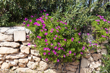 Temples of Ħaġar Qim