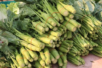 Kale at the market