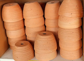 Potted flower plant shop