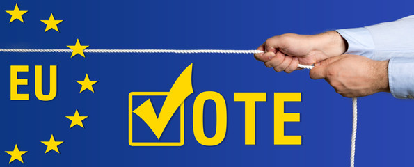 Kampf um Stimmen, Wettbewerb bei der Europawahl
