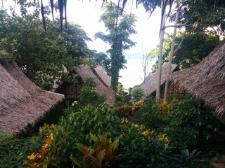Foliage view between tropical huts