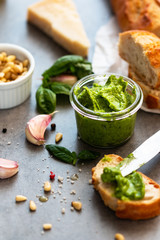Pesto sauce with ingredients garlic, basil, pine nuts on a neutral grey background