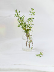 fresh thyme in a bottle on a white fabric background