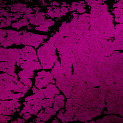 w_s_2_4_3