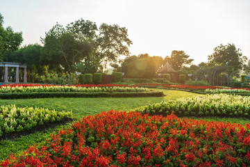 Landscape design of the park in English style in the tropical garden filled with flowers on a beautiful sunrise in the morning and green is refreshing.