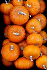 pumpkins