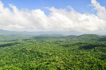 Fototapeta na wymiar Pristine primary forest dominates the landscape in this aerial shot of the Cockscomb Basin, Belize.