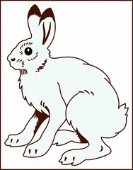 HARE  FOREST ANIMAL