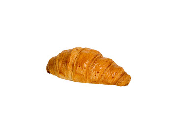 One cheese croissant isolated on white background, no shadow