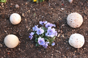 Rasselsteine im Garten