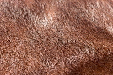 dark brown faux fur textures fabric. close up full frame. textured background