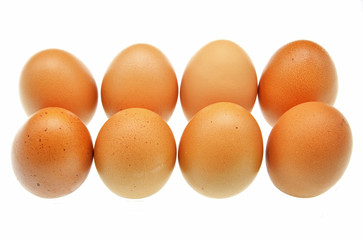 eggs isolated on white background