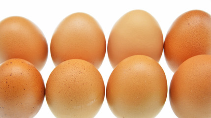 eggs isolated on white background