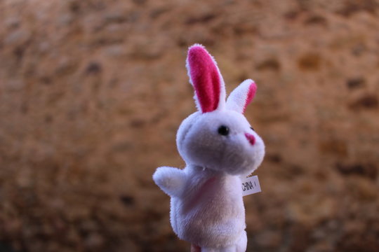 lapin de pacques