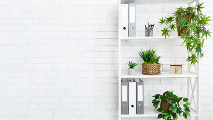 Stand with house plants and folders, copy space