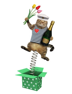 The Cat Sailor With A Bottle Of Champagne And Bouquet Of Flowers Is Jumping Out Of The Box. White Background. Isolated.