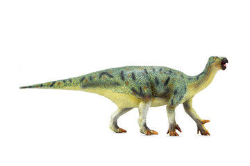 Herbivorous Dinosaur Iguanodon living in late Jurassic Period to the early Cretaceous. isolated on white background.