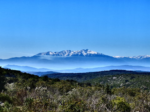 Pic canigou et paysage de vigne et montagne canigou en neige comme une peinture de bioules