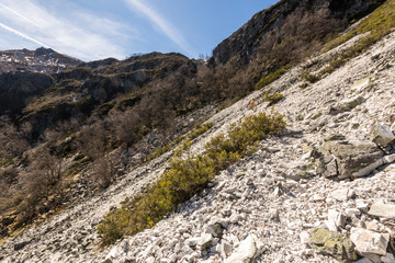 Asturias, Spain. Hiking trail at the Muniellos Nature Reserve (Reserva natural integral), area of woodland along the river Muniellos-Tablizas