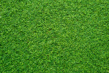 Green grass texture wall background