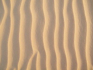 Sand dunes in India